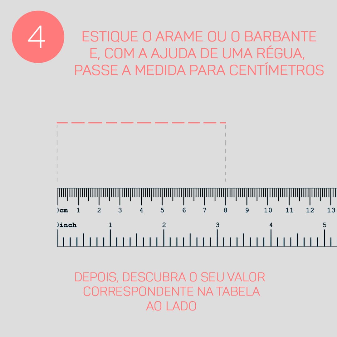 Instrução